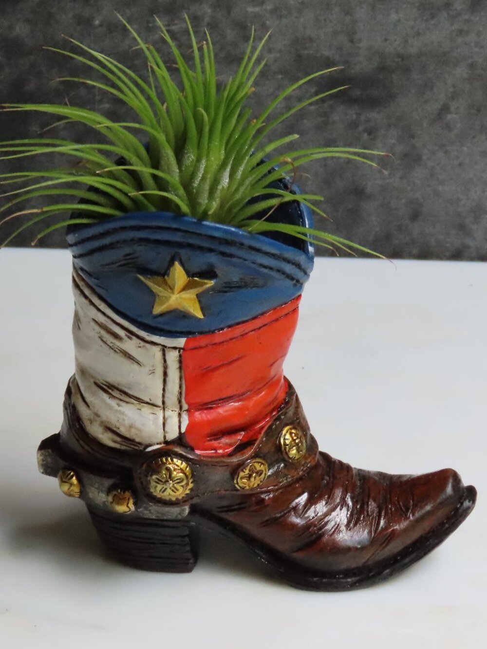 USA Cowboy boot with air plant